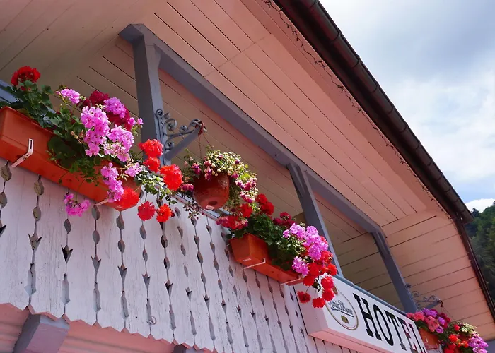 Moos 3* トートモース