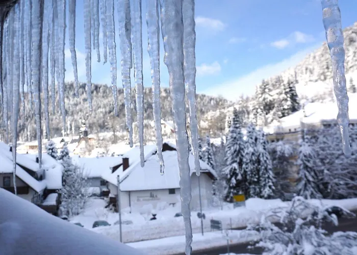 Moos 3* トートモース