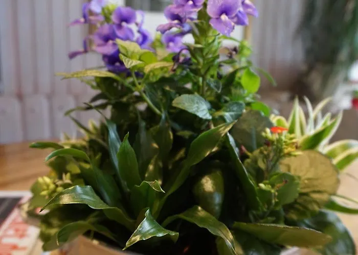 Moos ベッド・アンド・ブレックファスト